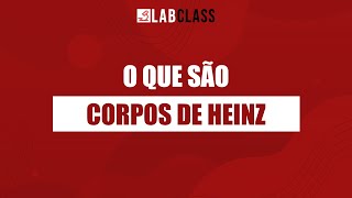 O que são corpos de heinz [upl. by Culver97]