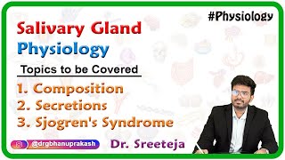 Salivary Gland Physiology Composition Secretions and Sjogrens syndrome  USMLE Step 1 [upl. by Sheffie353]