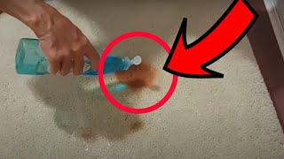 How to Remove Ketchup amp Soy Sauce Stains From Carpet in 5 Minutes [upl. by Ylatfen]