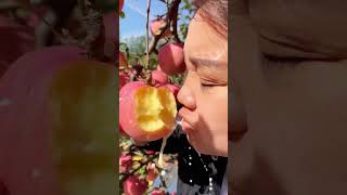 Eating pink apple at tree  Pink apple so sweet [upl. by Pich]