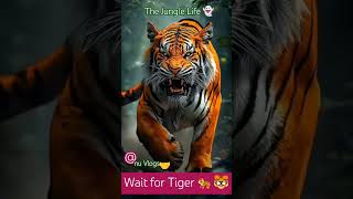 Tiger amp Deer 🐅🐯👻🤝❤️ [upl. by Tehr]