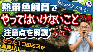 熱帯魚飼育でやってはquotいけないこと”7個！80％がミスする注意点を解説 [upl. by Eninaej181]