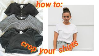 the quickest amp easiest way to crop tee shirts no sewing [upl. by Yelsehc555]