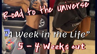 Road to the Universe  5 weeks out  Week in the life of a female bodybuilder  all the 1ers [upl. by Gerdy]