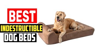 ✅Top 5 Best Indestructible Dog Beds in 2024 [upl. by Woods76]