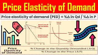 Price Elasticity of Demand  Definition Meaning Calculation Formula Explained [upl. by Joelynn45]