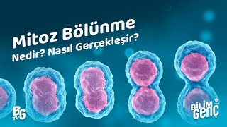 Mayoz  23 Günde TYT Biyoloji Kampı yks2024  10 Sınıf [upl. by Riaj]