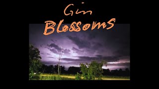 Gin Blossoms amp Minnesota Lightning Storm [upl. by Nirel]