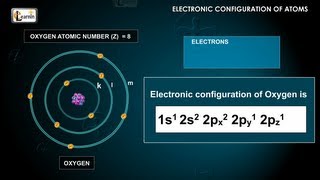 Electronic configuration of atoms using Aufbau Paulis principle and Hunds rule  Chemistry [upl. by Atinal]