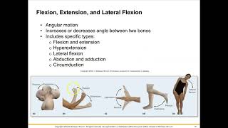 3 Synovial Joints and Movements [upl. by Lavery]