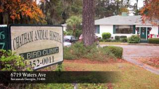 Chatham Animal Hospital  Savannah Veterinarian [upl. by Gifferd427]