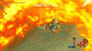 Zelda Breath of the Wild Igneo Talus Titan no damage [upl. by Icnarf]