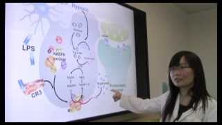 LongTerm Synaptic Depression Triggered by Microglia [upl. by Endres375]