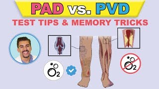 PAD vs PVI cartoon animation amp memory tricks peripheral arterial disease pathophysiology signs [upl. by Shumway]