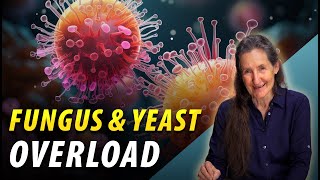 Fungus or Yeast Overload  Health Tips  Barbara ONeill [upl. by Gerlac]