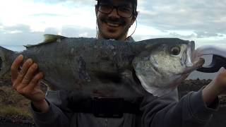 Açores  São Miguel  Pesca  Jigging amp Spinning [upl. by Kursh]