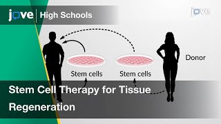 Stem Cell Therapy for Tissue Regeneration  Cell Bio  Video Textbooks  Preview [upl. by Nedgo21]