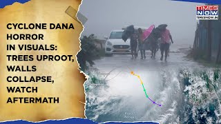 Cyclone Dana In Visuals Trees Uprooted Walls Collapse Gusty Winds Heavy Rain Rip Coasts  Watch [upl. by Nanette415]