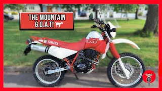 1988 YAMAHA XT350  THE MOUNTAIN GOAT 🐐  Ride amp Review [upl. by Sukey]