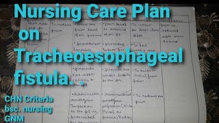 NCP Tracheoesophageal fistula childhealthnursing nursingcriteria [upl. by Melba265]