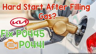 How to Fix P0441 P0445  Solenoid PurgeValve  Hard Start After Filling Gas  Kia Sorento [upl. by Yadahs]