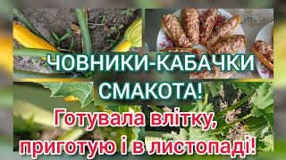 А ви любите готувати фаршовані човники з кабачків Я так Готувала влітку приготую і в листопаді [upl. by Corley]