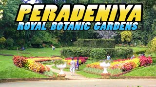 PERADENIYA  Royal Botanic Gardens  Sri Lanka 4k [upl. by Znieh]