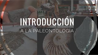 Introducción a la paleontología [upl. by Gnohc]