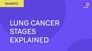 Lung Cancer Stages Explained Shorts [upl. by Kemme851]