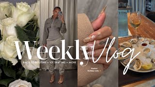 Weekly vlog back to routine  christmas fun w friends  home reno update amp more allyiahsface vlog [upl. by Aniakudo]