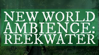 New World Ambience  Reekwater  30 Minutes of Sights Sounds amp Music [upl. by Ludovico]