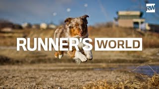 The 6 Best Types of Dogs for Runners [upl. by Alemap]