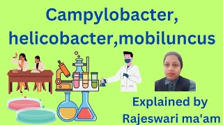 lets know about Campylobacter helicobacter and mobiluncus [upl. by Walters603]