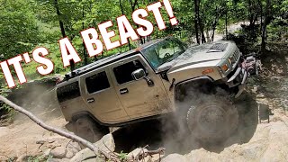 Hummer H2 DESTROYS JEEPS on the Trail [upl. by Kristin]