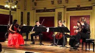 L Boccherini GuitarQuintet No 2 I Maestoso assai  quotBoccherini Ensemblequot [upl. by Arolf]