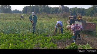 kopiemy wybieramy Odra idzie w górę  bardzo ciężkie dni [upl. by Romilly]