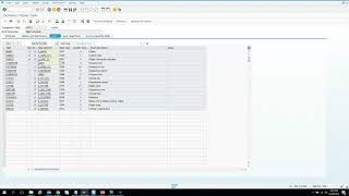 009 How to create Authorization Class Object and Field in SAP [upl. by Cirde]