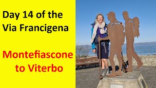 Day 14 of the Via Francigena from Montefiascone to Viterbo  113 miles 18km [upl. by Hoo587]