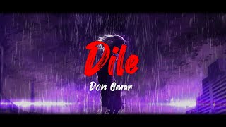 Don Omar  Dile Letra [upl. by Ranger273]