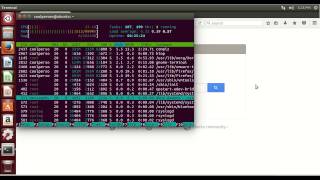 Managing Ubuntu Inspecting Processes [upl. by Hedelman308]