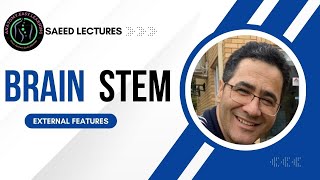 BrainStem External Features [upl. by Wheeler]