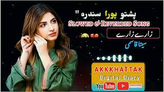 Zare Zare Pashto Song  Slowed and Reverb  Pashto Trending Song 2024 trendingsong pashtosong [upl. by Halilahk701]