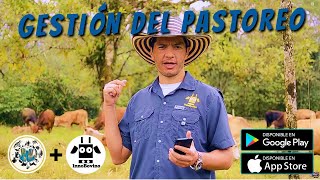 Gestión del Pastoreo mediante el uso de la App InnoBovino [upl. by Nirrek122]