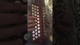 Steirische Harmonika Hiatamadl Lernvideo einfache Version [upl. by Melleta]