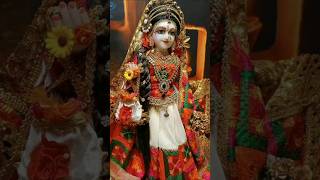 Sahaja Subhav sabh Naval Kishori youtubeshorts shortvideo radharani trending [upl. by Averil]