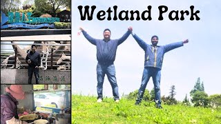 Healthey Life Starting From Wetland  Wetland Park Mini VlogచైనాలోteluguAmmayiVlogs [upl. by Ellecram281]