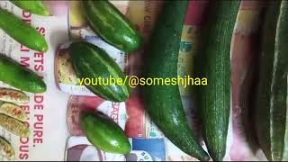 GOURDS गोर्ड Cucurbitaceae family कद्दू वर्गीय सब्जी गॉर्ड [upl. by Kcirdlek]