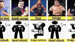 How to wrestlers died [upl. by Llehcam236]