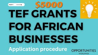 TEF 2024 Step By Step Application Procedure  5000 Business Grants by Tony Elumelu Foundation [upl. by Icaj828]