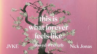 JVKE Nick Jonas  this is what forever feels like Slowed  Reverb [upl. by Cathey696]